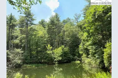 Tbd Apple Canyon Drive, West Jefferson, NC 28694 - Photo 6