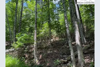 Tbd Apple Canyon Drive, West Jefferson, NC 28694 - Photo 2