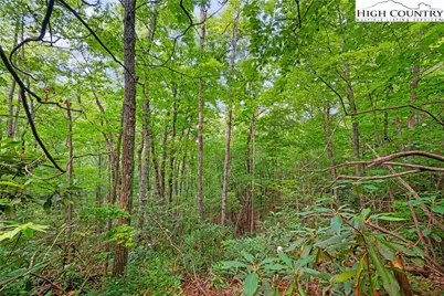 Lot 330 Pepperroot Road, Boone, NC 28607 - Photo 14