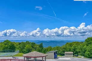 301 Pinnacle Inn Dr, Beech Mountain, NC 28604 - Photo 2