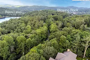 151 The Cones, Blowing Rock, NC 28605 - Photo 4