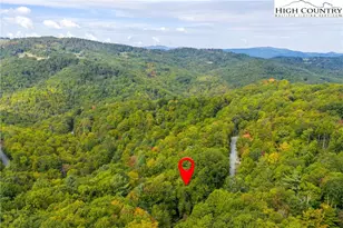 179 Rhododendron Dr, Beech Mountain, NC 28604 - Photo 4