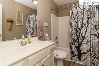 351 Colony Lane, Purlear, NC 28665 - Photo 34
