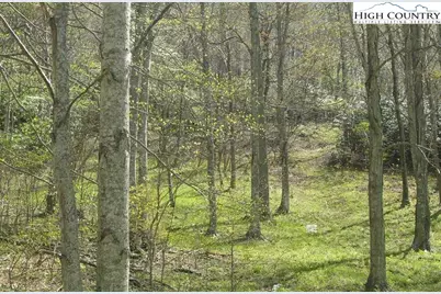 Tbd Bob's Mountain Road, Boone, NC 28607 - Photo 1