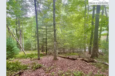 Tbd Laurelwood Drive, West Jefferson, NC 28684 - Photo 1