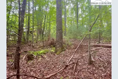 Tbd Laurelwood Drive, West Jefferson, NC 28684 - Photo 8