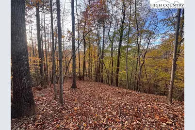 Tbd Winklers Way Road, Lenoir, NC 28645 - Photo 20