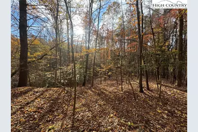 Tbd Winklers Way Road, Lenoir, NC 28645 - Photo 8