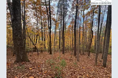 Tbd Winklers Way Road, Lenoir, NC 28645 - Photo 14