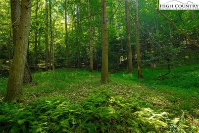 Tbd Winklers Way Road, Lenoir, NC 28645 - Photo 26