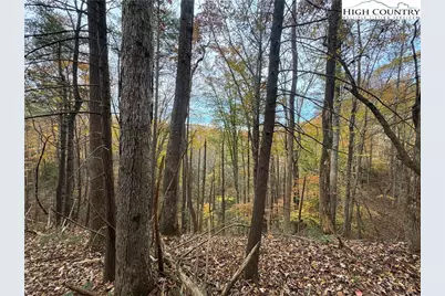 Tbd Winklers Way Road, Lenoir, NC 28645 - Photo 22