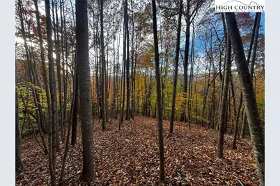 Tbd Winklers Way Road, Lenoir, NC 28645 - Photo 16