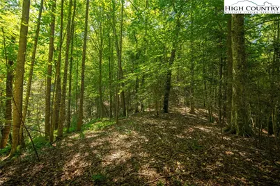 Tbd Winklers Way Road, Lenoir, NC 28645 - Photo 40