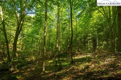 Tbd Winklers Way Road, Lenoir, NC 28645 - Photo 34