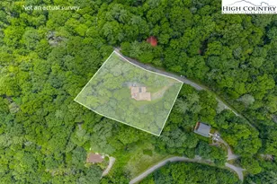 327 Mountain Flower Rd, Banner Elk, NC 28604 - Photo 8