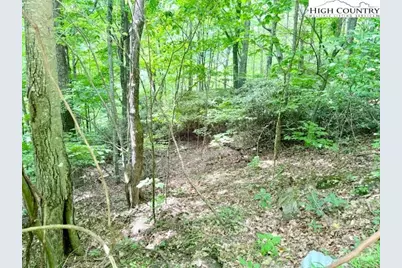 Lot 17 Savannah Drive, West Jefferson, NC 28694 - Photo 6