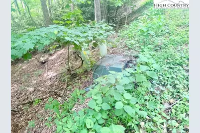 Lot 17 Savannah Drive, West Jefferson, NC 28694 - Photo 4