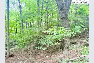 Lot 17 Savannah Drive, West Jefferson, NC 28694 - Photo 8