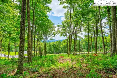 Lot 24 Poplar Forest Drive, Boone, NC 28607 - Photo 8