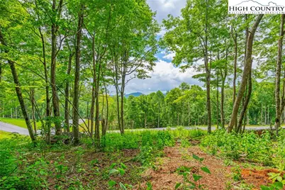Lot 24 Poplar Forest Drive, Boone, NC 28607 - Photo 6