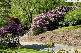 281 Cliffside Ln, Seven Devils, NC 28604 - Photo 28