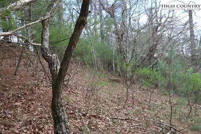 Lot 29 & 30 N Hidden Mountain Lane, Crumpler, NC 28617 - Photo 8