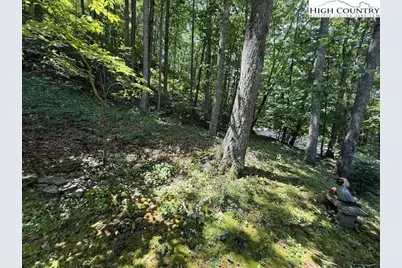 2202 Old 16 Highway, Jefferson, NC 28640 - Photo 24