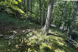 2202 Old 16 Hwy, Jefferson, NC 28640 - Photo 24