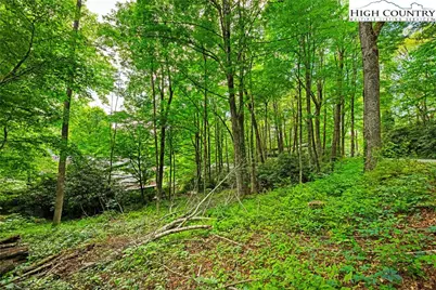 140 Pine View Road, Newland, NC 28657 - Photo 4
