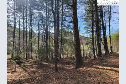 Tbd (Lot 73) Creekside Meadows Drive, Fleetwood, NC 28626 - Photo 2