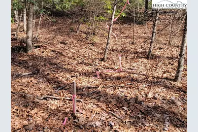 Tbd (Lot 72) Creekside Meadows Drive, Fleetwood, NC 28626 - Photo 8