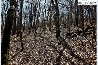 Tbd Junaluska Road, Boone, NC 28607 - Photo 16