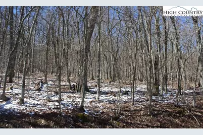 Tbd Junaluska Road, Boone, NC 28607 - Photo 12