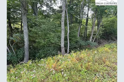 405 Firethorn Trail, Blowing Rock, NC 28605 - Photo 6