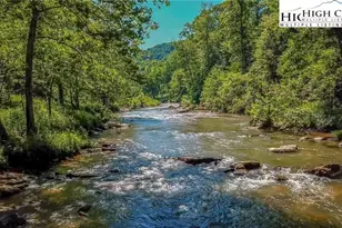 597 Auborn Trivette Rd, Sugar Grove, NC 28679 - Photo 46