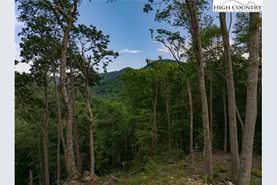 C124 Springwater Lane, Banner Elk, NC 28604 - Photo 2