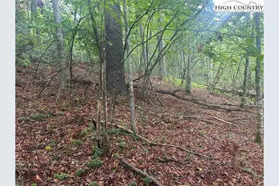 Lot 3 Cedar Cove Lane, Fleetwood, NC 28262 - Photo 4