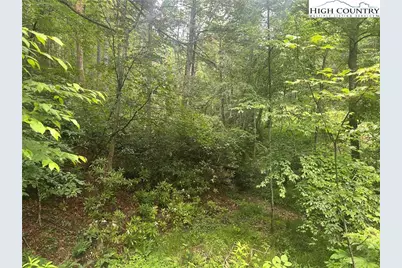 Lot 3 Cedar Cove Lane, Fleetwood, NC 28262 - Photo 2