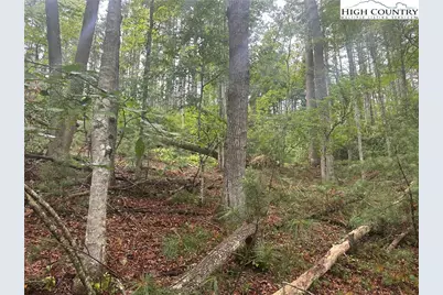 Lot 3 Cedar Cove Lane, Fleetwood, NC 28262 - Photo 6