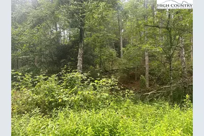 Lot 3 Cedar Cove Lane, Fleetwood, NC 28262 - Photo 8