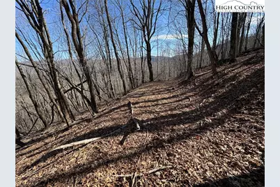 Lot 32 Jewel Weed Trail, Newland, NC 28657 - Photo 2