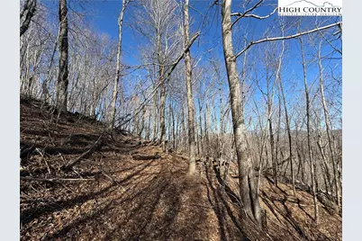 Lot 32 Jewel Weed Trail, Newland, NC 28657 - Photo 4