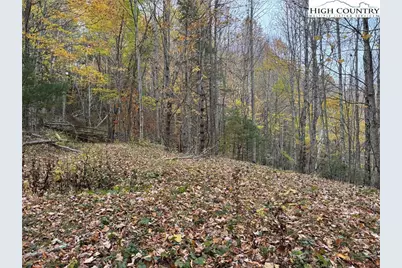 Tbd Rominger Road, Banner Elk, NC 28604 - Photo 10