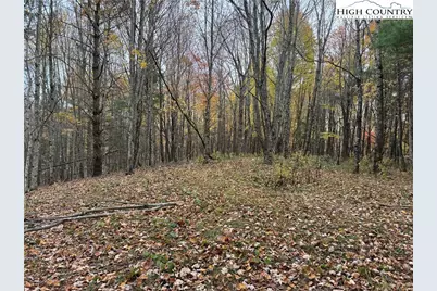 Tbd Rominger Road, Banner Elk, NC 28604 - Photo 6