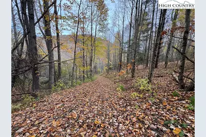 Tbd Rominger Road, Banner Elk, NC 28604 - Photo 16
