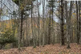 1143 Rominger Rd, Banner Elk, NC 28604 - Photo 1