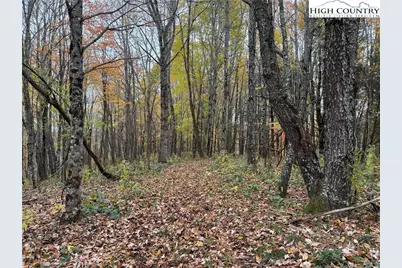 Tbd Rominger Road, Banner Elk, NC 28604 - Photo 12