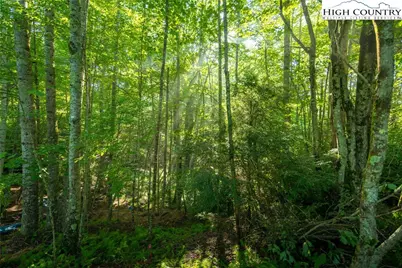 252 Boulder Creek Drive, Boone, NC 28607 - Photo 28