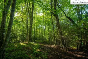 Tbd Boulder Creek Dr, Boone, NC 28607 - Photo 8