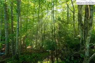 Tbd Boulder Creek Dr, Boone, NC 28607 - Photo 28
